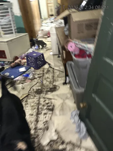 Couple charged with child endangering after roach infested residence condemned